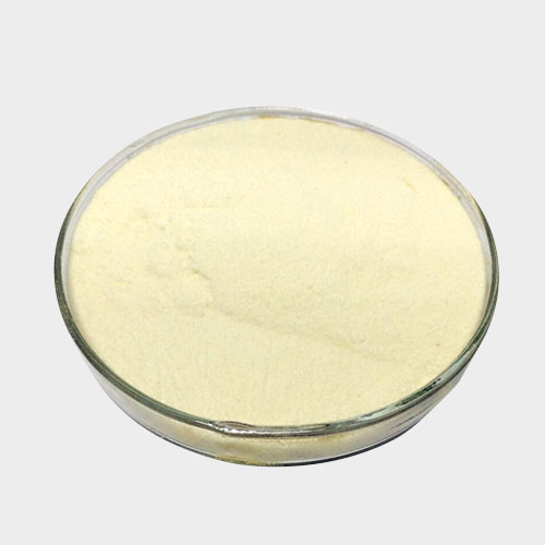 Unleashing the Magic of Bakery Enzyme Blends: Elevating Baking to New Heights