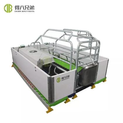 Advancing Welfare: Innovations in European-Style Farrowing Crate Technology