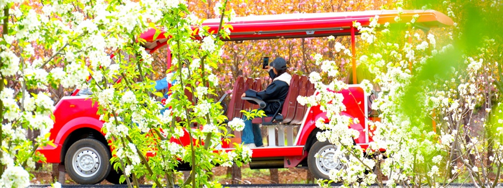 Explore Yushui Village: A Hidden Gem at the Foot of Jade Dragon Snow Mountain